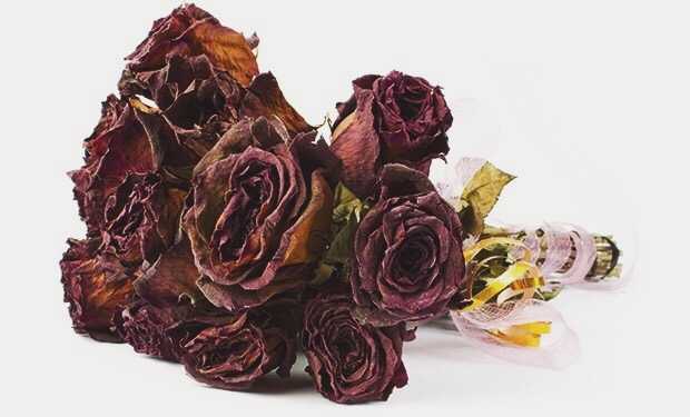 Processed with VSCO with t1 preset